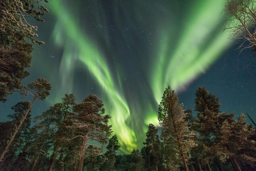 Rovaniemi: Snowy Forest Night Hike with Northern Lights - The 3-hour snowshoe hike: pace, feel, and what you actually do