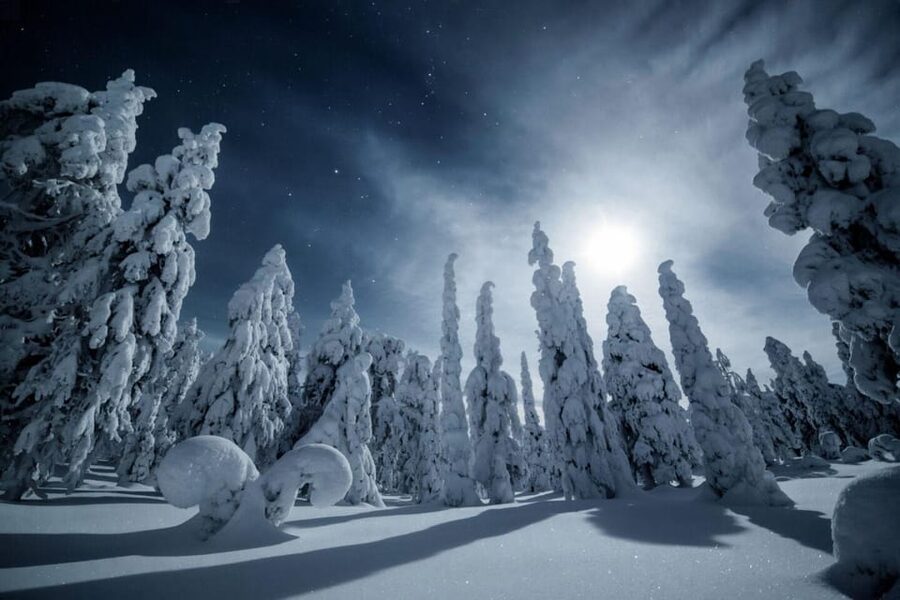 Rovaniemi: Snowy Forest Night Hike with Northern Lights - The forest portion: listening to snow and letting the darkness do its job