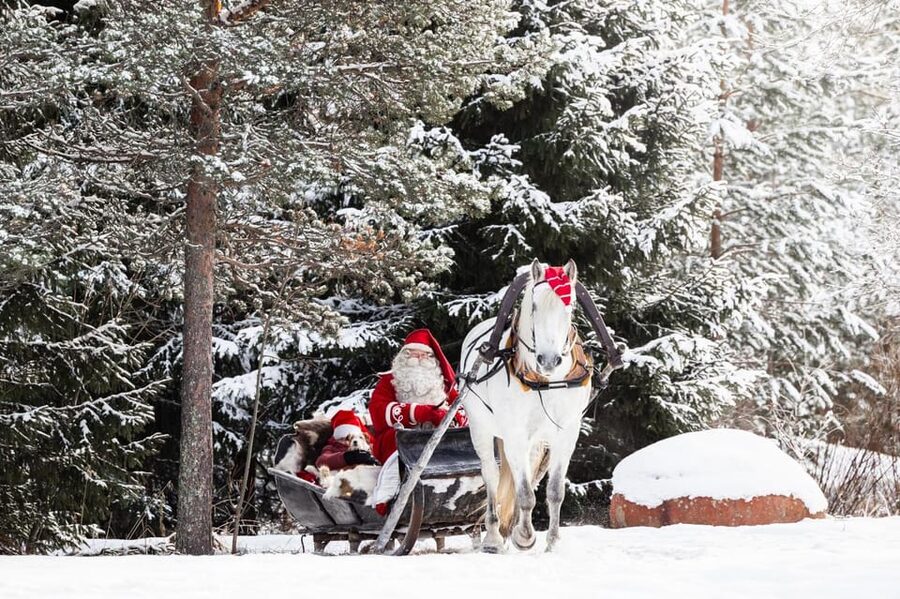 Rovaniemi: Traditional Finnhorse Sleigh Ride at SCV (3km) - Quick hits