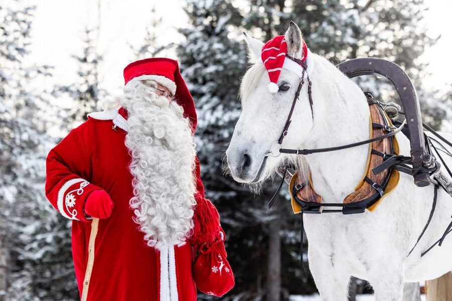 Rovaniemi: Traditional Finnhorse Sleigh Ride at SCV (3km) - Finnhorse sleigh ride in Rovaniemi: what makes it feel special