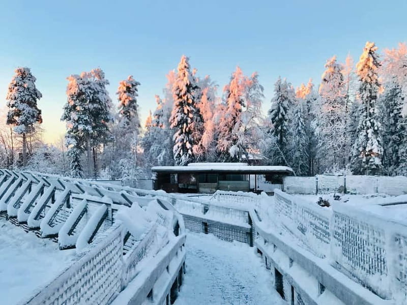 Rovaniemi: Trip to Ranua Zoo with Tickets - Who should book this Ranua Zoo transfer, and who might not love it