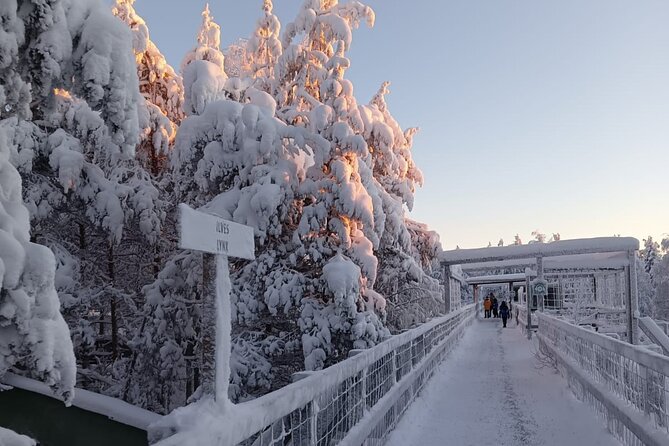 Rovaniemi: Trip to Ranua Zoo with Tickets Included - Entering Ranua Zoo: A Self-Paced Arctic Wildlife Walk