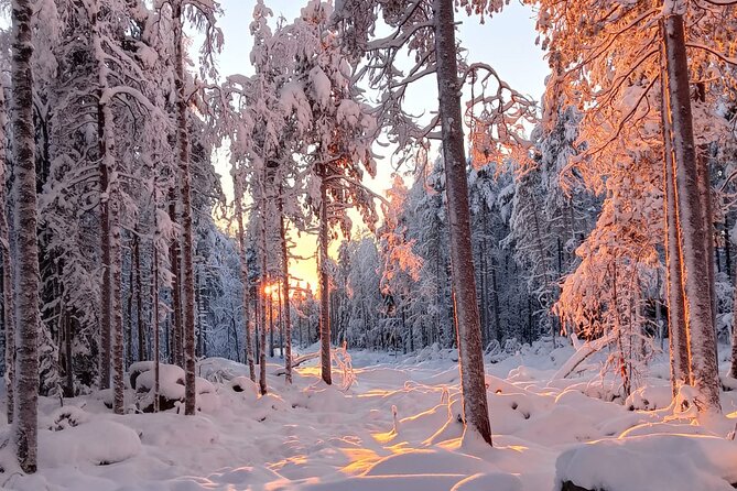 Rovaniemi: Trip to Ranua Zoo with Tickets Included - Birds, Polar Animals, and the Two-Stage Layout