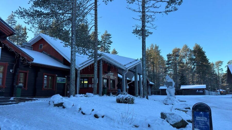Rovaniemi: trip to the Ranua Zoo (transportation, tickets) - What’s included on-site and what to bring