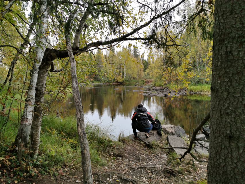 Rovaniemi: Vaattunki Hiking Arctic Circle Trail - Key Highlights to Look For