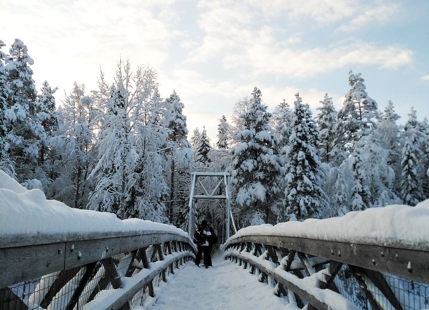 Rovaniemi: Vaattunki Hiking Arctic Circle Trail - Crossing the Arctic Circle on a nature-first route