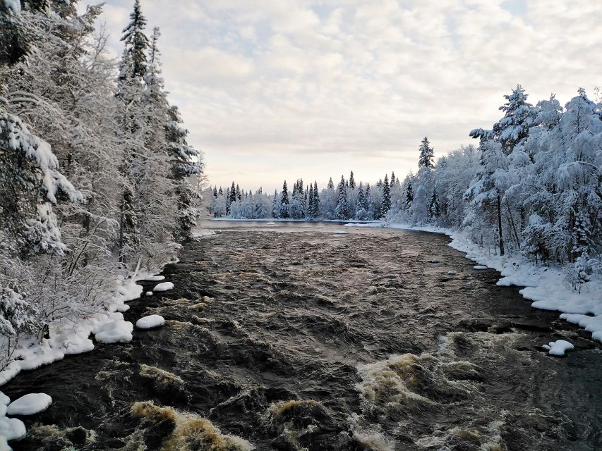 Rovaniemi: Vaattunki Hiking Arctic Circle Trail - Forests and open marshes: what the trail teaches you