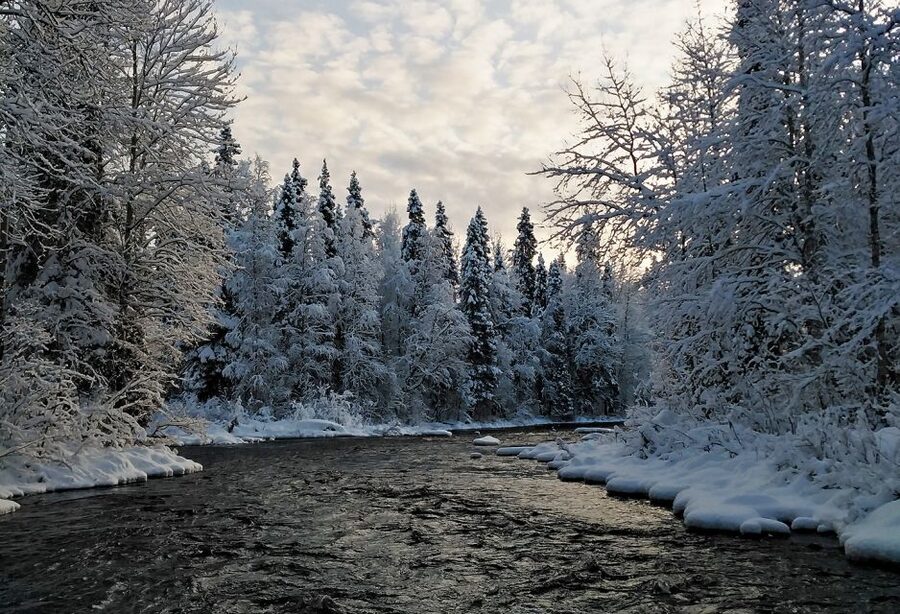 Rovaniemi: Vaattunki Hiking Arctic Circle Trail - Your guide matters, and the trip clearly chooses for it