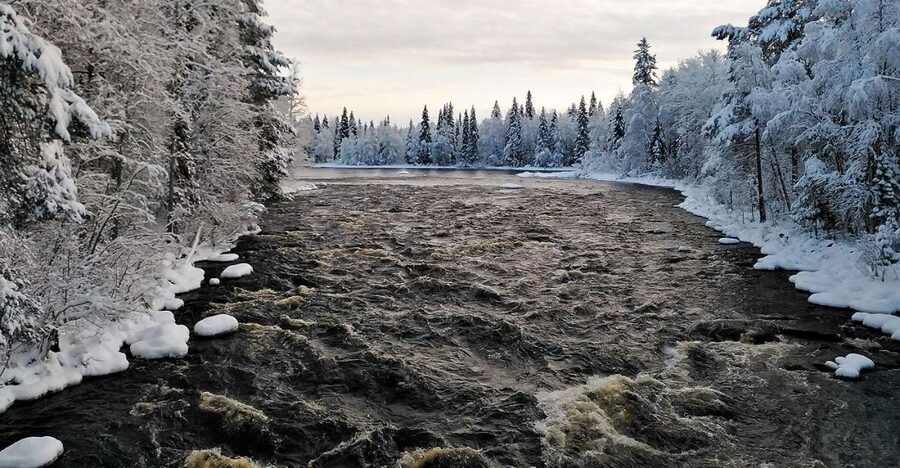 Rovaniemi: Vaattunki Hiking Arctic Circle Trail - What it feels like to hike Lapland just outside Rovaniemi