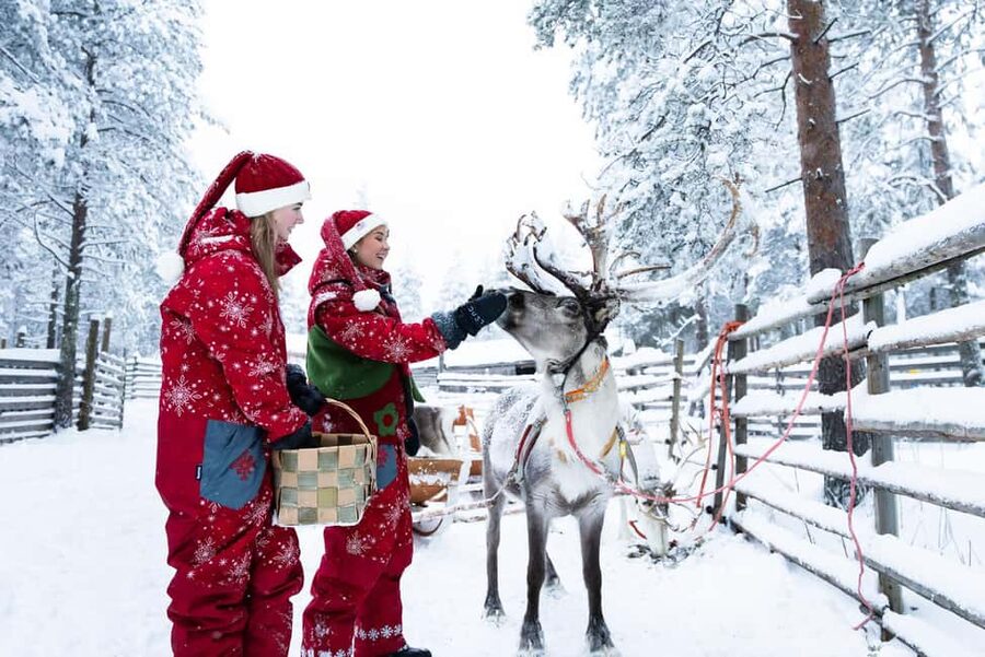 Rovaniemi: Visit to Santa's reindeer farm with reindeer ride - Key highlights worth planning for
