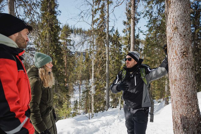 Rovaniemi - Visit to The Frozen Waterfalls of Korouoma - Guides and group energy: small-team service with real personality