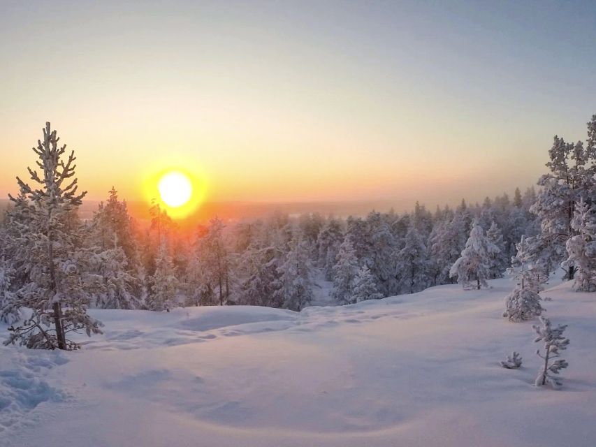 Rovaniemi: Wilderness Tour - Practical Tips So You’re Comfortable from Start to Finish
