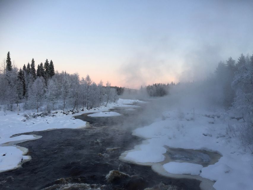 Rovaniemi: Wilderness Tour - Campfire Snack and Hot Drinks: Cozy Fuel After the Walk