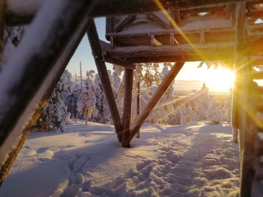 Rovaniemi: Wilderness Tour - What You Get in the Ticket Price and Why It’s Fair