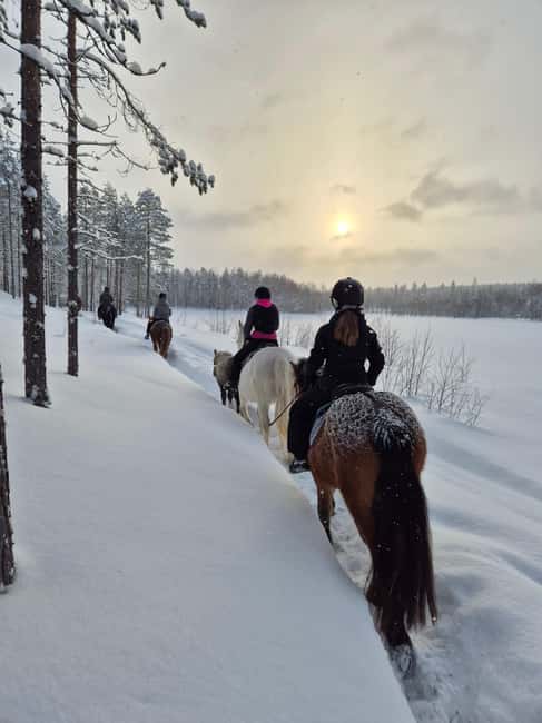 Rovaniemi: Winter Horseback Ride on Snowy Hills and Forests - Why this ride starts to feel like real Lapland