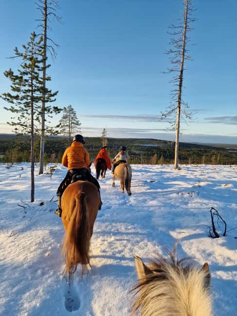 Rovaniemi: Winter Horseback Ride on Snowy Hills and Forests - The snowy forest trail, the calm pace, and staying present