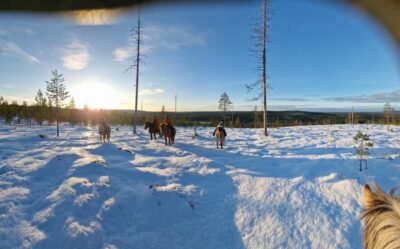Winter Horseback Ride on Snowy Hills and Forests