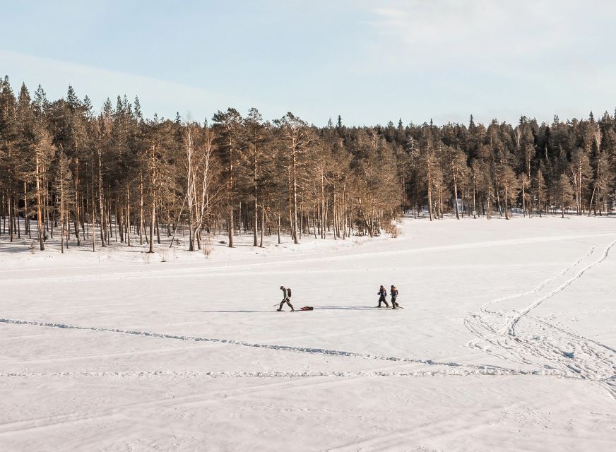 Rovaniemi: Winter Wilderness Snowshoeing Trip - Photo Opportunities Without Feeling Like a Model Shoot