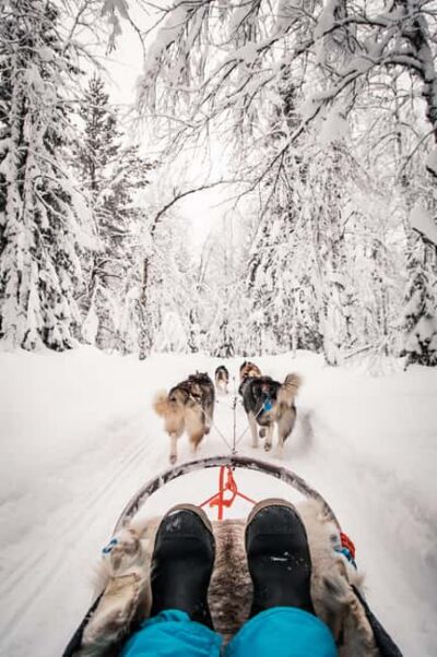 5km Husky Safari with Snacks and Campfire