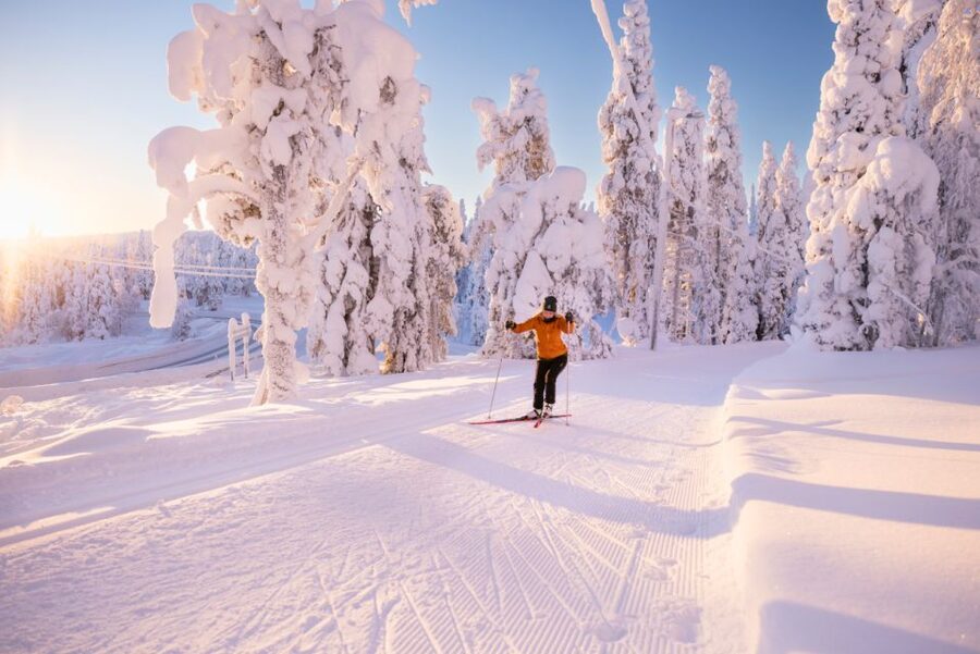 Ruka: Cross-country skiing - Meeting point at Ruka Safaris Safarihouse: arrive early, then relax