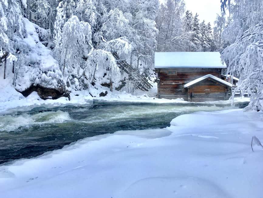 Ruka: Oulanka National Park Snowshoeing Tour - Key Points You’ll Care About