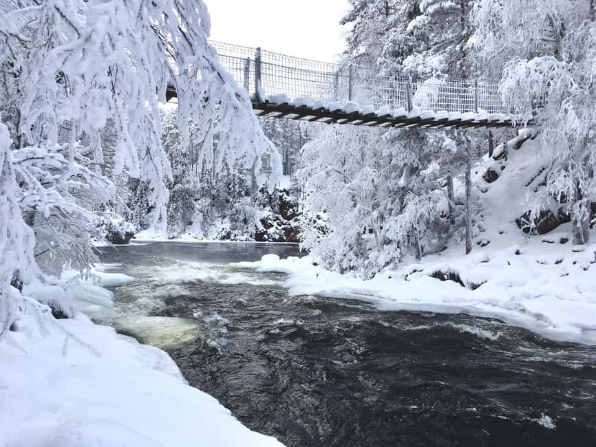 Ruka: Oulanka National Park Snowshoeing Tour - Why Oulanka Works So Well for a Half-Day Snowshoe