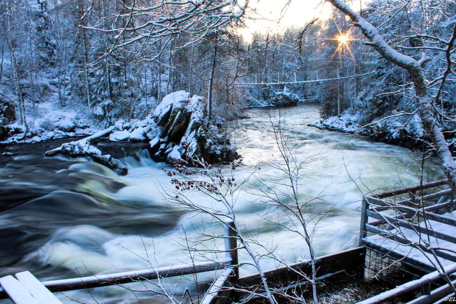 Ruka: Oulanka National Park Snowshoeing Tour - What You Really Get for the $124 Price
