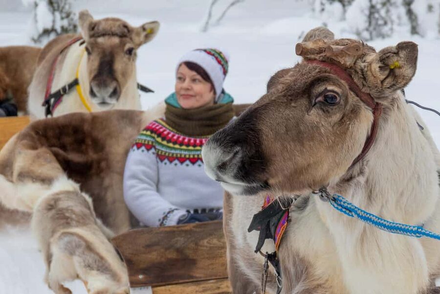 Ruka: Reindeer Ride with Snacks and Storytime - Why a 1.5 km reindeer ride in Ruka feels like real Lapland
