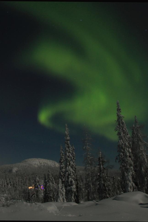 Ruka: Searching for the northern lights with snowshoes - Who this snowshoe northern lights trip is best for