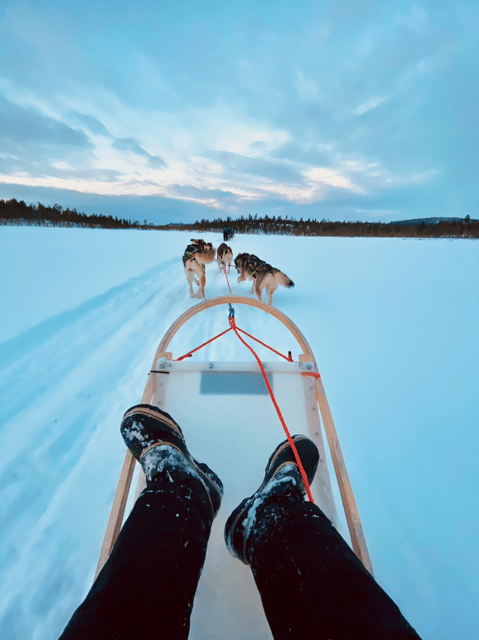 Saariselkä: 10KM Husky Safari with kennel visit - Arctic Time Travels 10 km Husky Safari, What Makes It Special