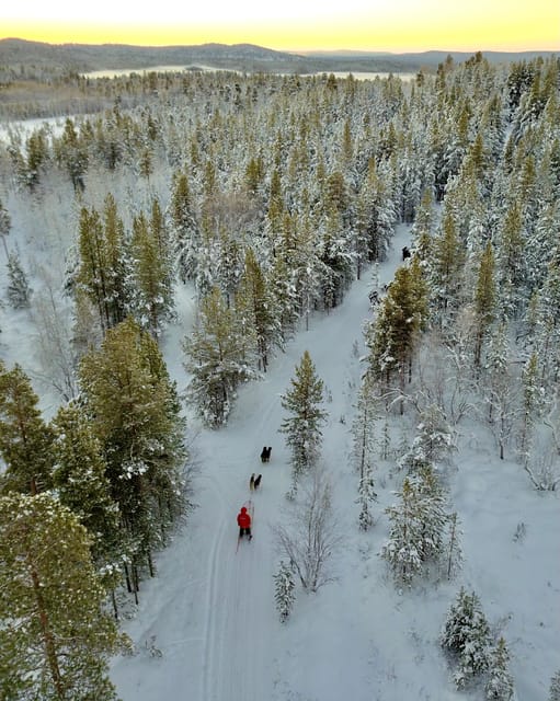 Saariselkä: 10KM Husky Safari with kennel visit - Safety Briefing and How the Sled Routine Works