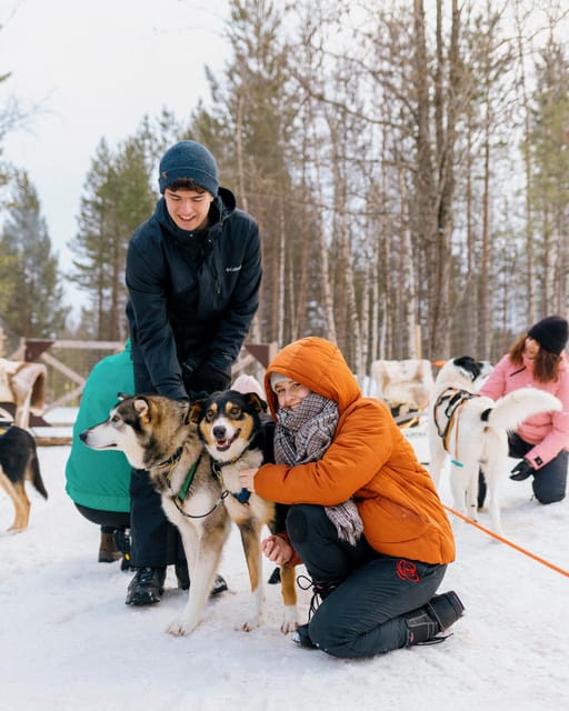 Saariselkä: 10KM Husky Safari with kennel visit - The Ride: Forest Track, Husky Howls, and Real Mushing