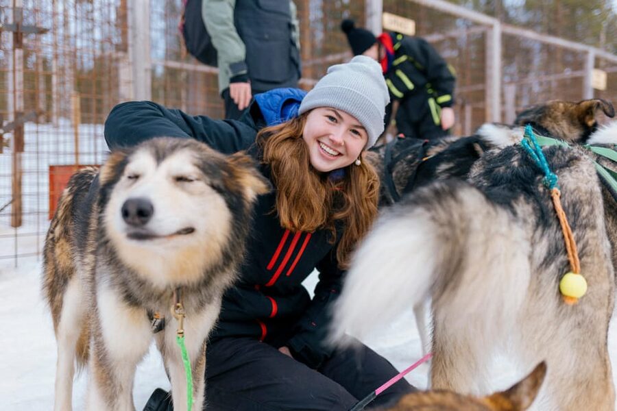Saariselkä: 10KM Husky Safari with kennel visit - Kennel Visit in a Small Farm Focused on Quality
