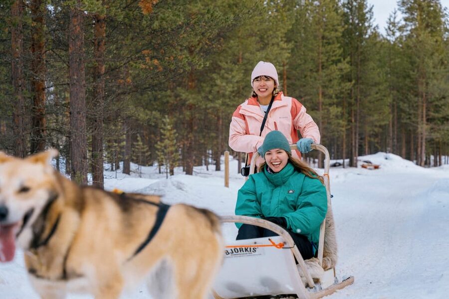 Saariselkä: 10KM Husky Safari with kennel visit - From Saariselkä or Ivalo to Veskoniemi: The Day’s Setup