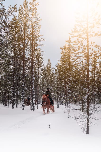 Saariselkä: Arctic Trail Horse Riding Tour - Polaris Point Horses: A Simple Setup That Feels Safe