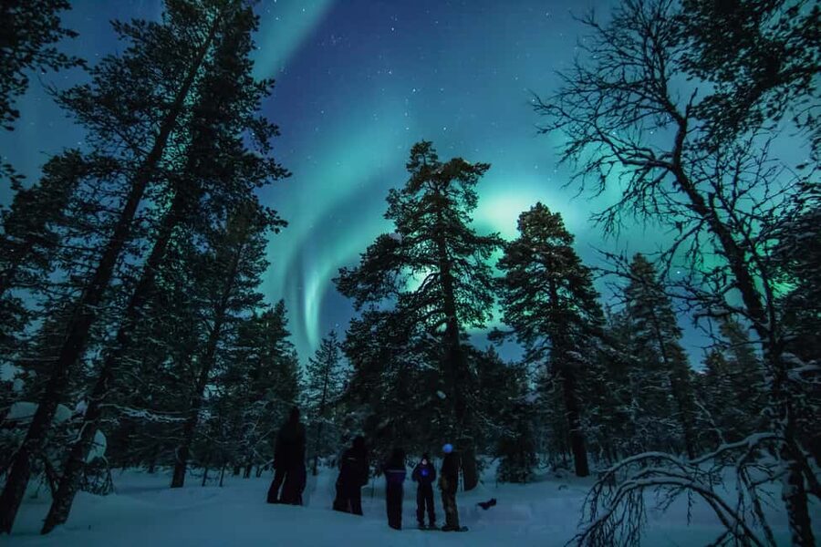 Saariselkä: Aurora Hunting & Reindeer Wilderness Experience - The reindeer farm stop: feeding, petting, and close-up Lapland