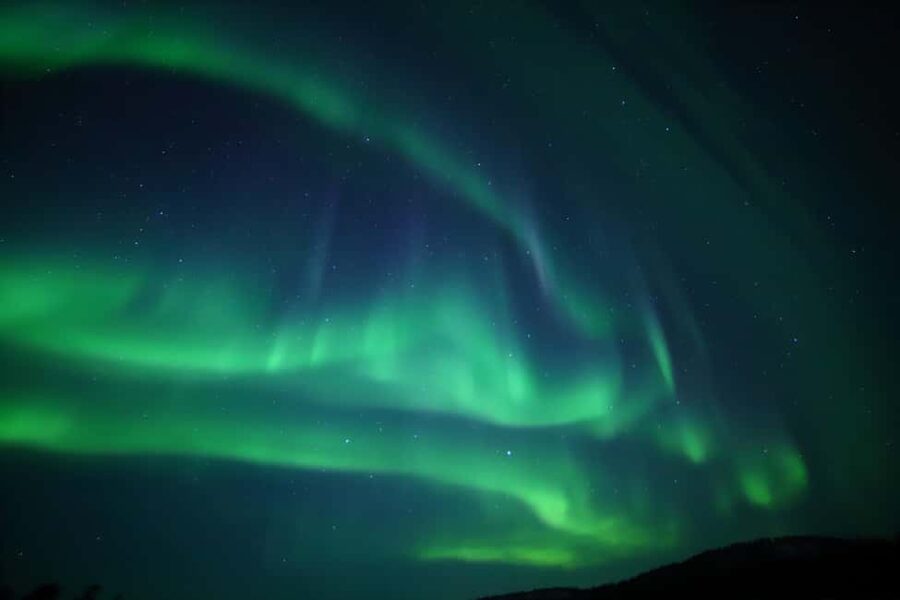 Saariselkä: Aurora Hunting & Reindeer Wilderness Experience - Flexible pacing, shared group energy, and small-group options