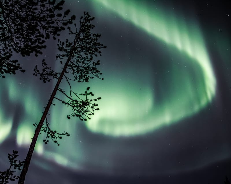 Saariselkä: Aurora Photo Tour by Car with Transfer & Drinks - Who this tour suits, and who should think twice