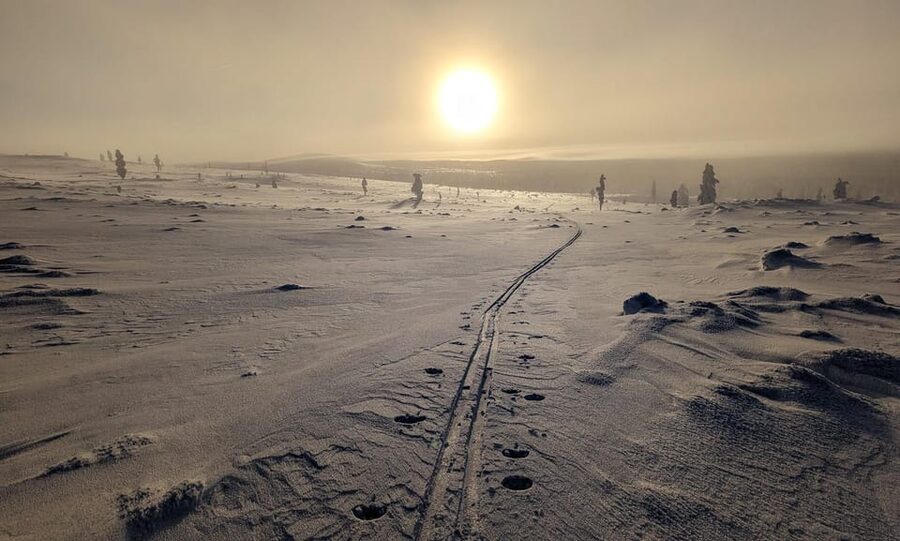Saariselkä: Back-Country Skiing Guided Tour - Key points worth knowing