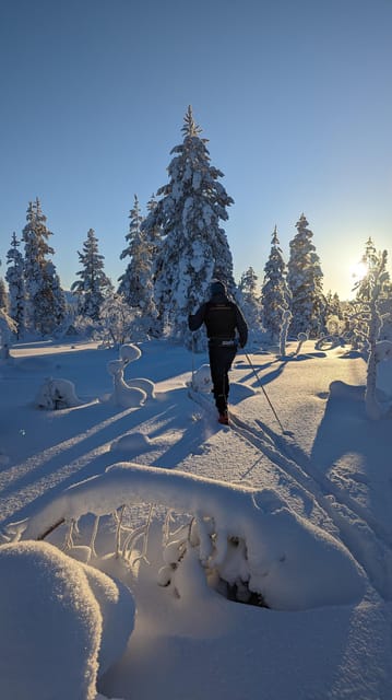 Saariselkä: Back-Country Skiing Guided Tour - Saariselkä back-country skiing: what makes it different from trail time