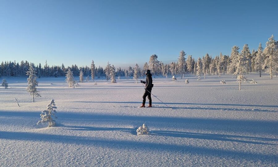 Saariselkä: Back-Country Skiing Guided Tour - Your route through forests and fells, plus how wildlife chances actually work