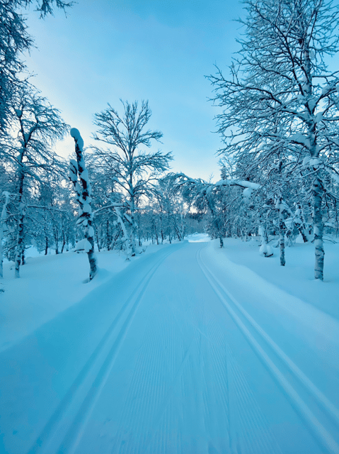 Saariselkä: Cross-Country Skiing for beginners - Learning classic technique: stride, glide, and Finnish-school basics