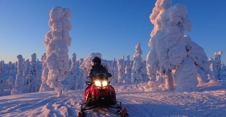 Saariselkä: Evening Snowmobile Tour with Fire & picnic - Key highlights worth getting excited about
