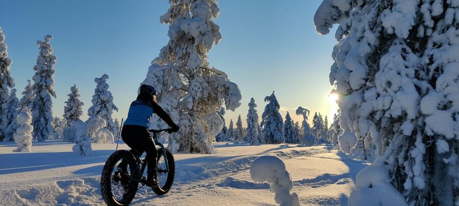 Saariselkä: Guided Fatbike Tour - Key Things I’d Know Before You Go