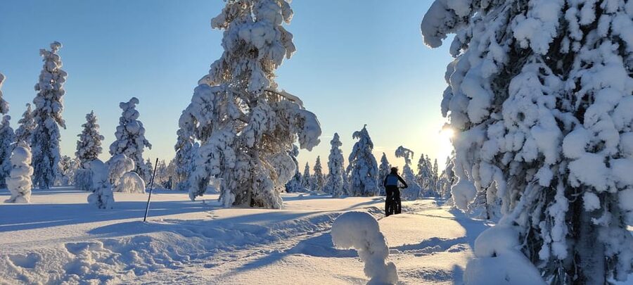 Saariselkä: Guided Fatbike Tour - E-Fatbike or Bio Fatbike: The Bike Choice That Changes the Experience
