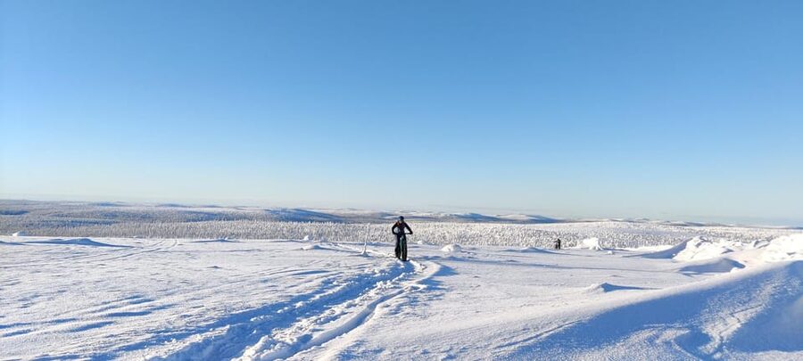 Saariselkä: Guided Fatbike Tour - Forest Trails vs Fell Terrain: Picking Your Difficulty