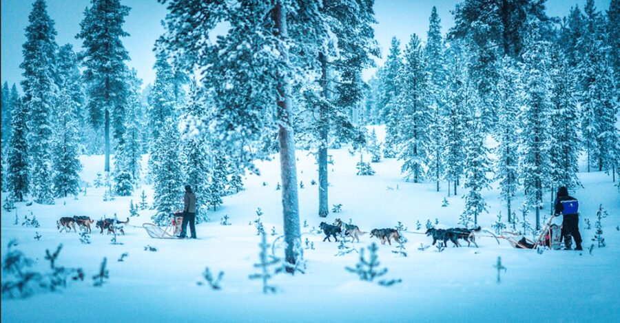 Saariselkä: Husky Safari with Aurora Borealis Hunt - Key things I think you will notice