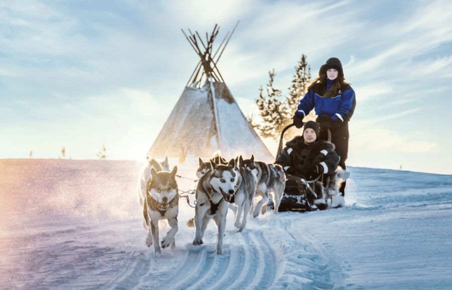 Saariselkä: Husky Safari with Aurora Borealis Hunt - Saariselkä husky sleigh time, then sky time for the Northern Lights