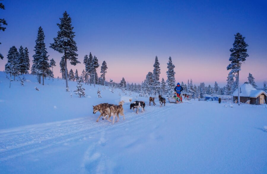 Saariselkä: Husky Safari with Aurora Borealis Hunt - Thermal clothing, safety briefing, and how self-driving really works