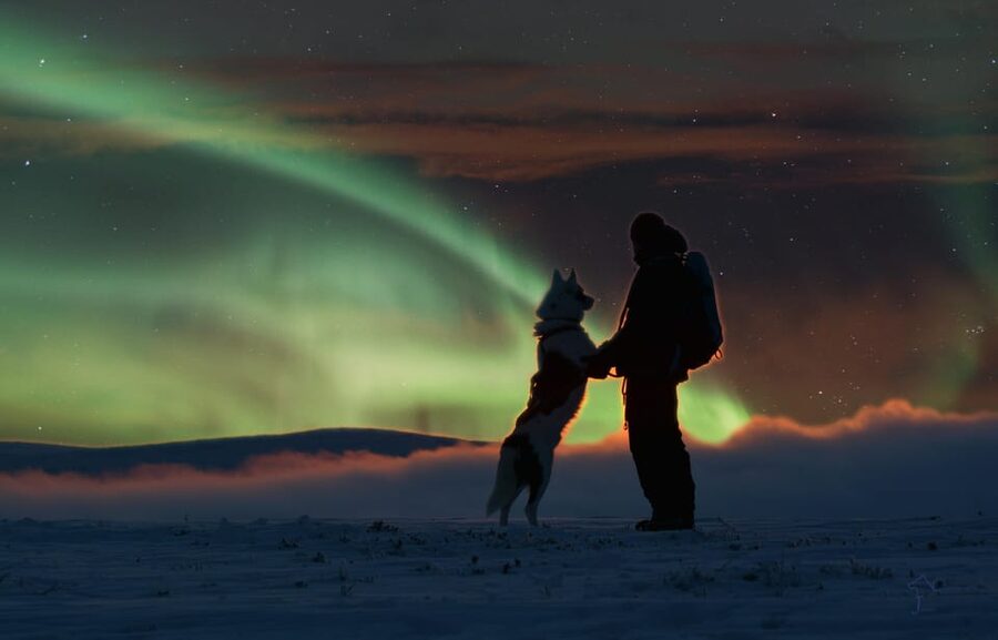 Saariselkä: Husky Safari with Aurora Borealis Hunt - Star Arctic pick-ups and the short, practical way to get to the huskies